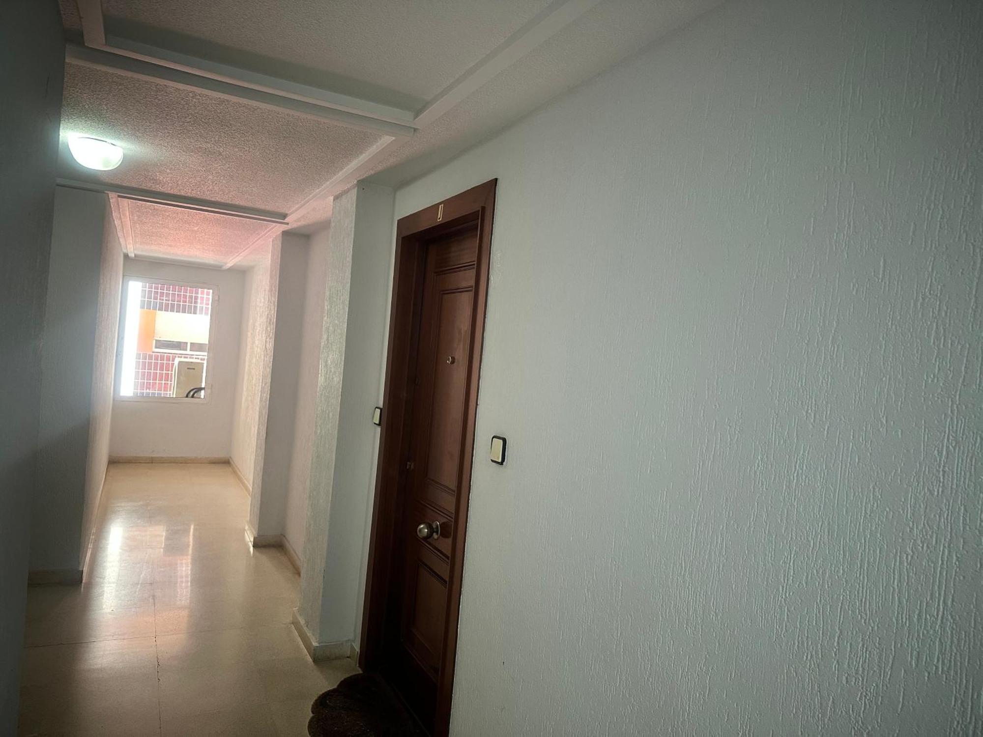 Homely Apartments Habaneras Torrevieja Zewnętrze zdjęcie